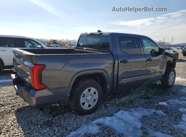 5TFKB5DB8SX280269 2025 TOYOTA TUNDRA Gray Հետևի աջ
