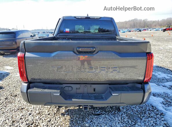 5TFKB5DB8SX280269 2025 TOYOTA TUNDRA Gray Հետևի տեսք