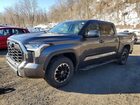 2023 Toyota Tundra Crewmax Sr Charcoal vin: 5TFLA5DB1PX094393