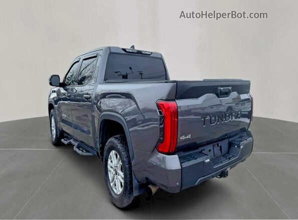 5TFLA5DB2PX085928 2023 TOYOTA TUNDRA Угольный Задняя правая четверть