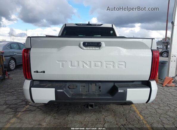 5TFLA5DB9RX149725 2024 TOYOTA TUNDRA Белый 