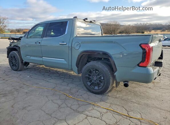 5TFMA5DB2SX295913 2025 TOYOTA TUNDRA Бирюзовый Задняя левая четверть
