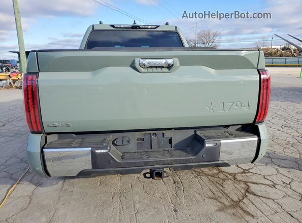 5TFMA5DB2SX295913 2025 TOYOTA TUNDRA Бирюзовый Вид сзади