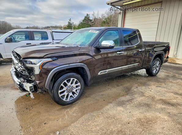 5TFMC5BC2RX001197 2024 TOYOTA TUNDRA Коричневый Передняя левая четверть
