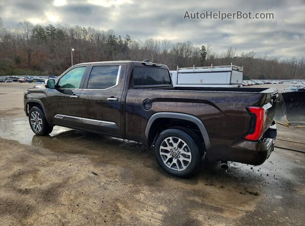 5TFMC5BC2RX001197 2024 TOYOTA TUNDRA Коричневый Задняя левая четверть