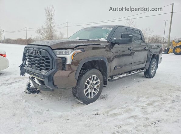 5TFMC5DB4PX022652 2023 TOYOTA TUNDRA Brown Vista tres cuartos delantera izquierda