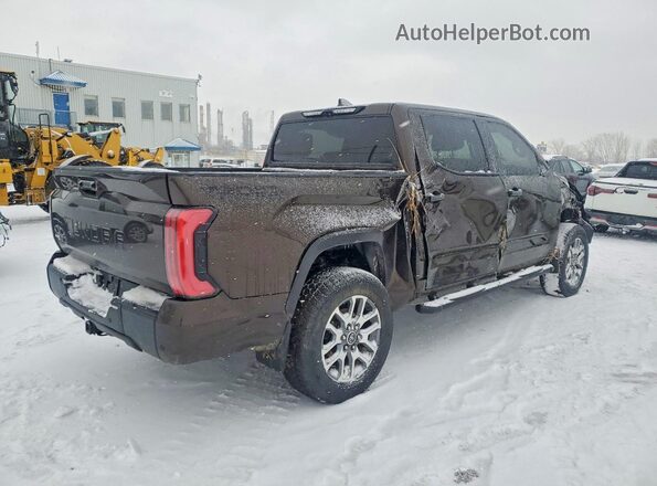 5TFMC5DB4PX022652 2023 TOYOTA TUNDRA Brown Trasero derecho