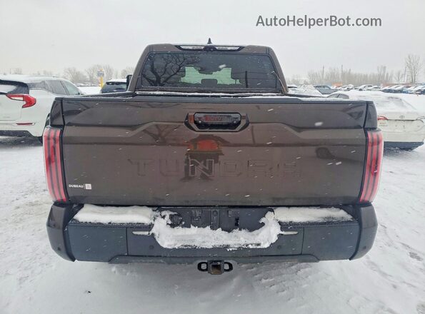 5TFMC5DB4PX022652 2023 TOYOTA TUNDRA Brown Vista trasera