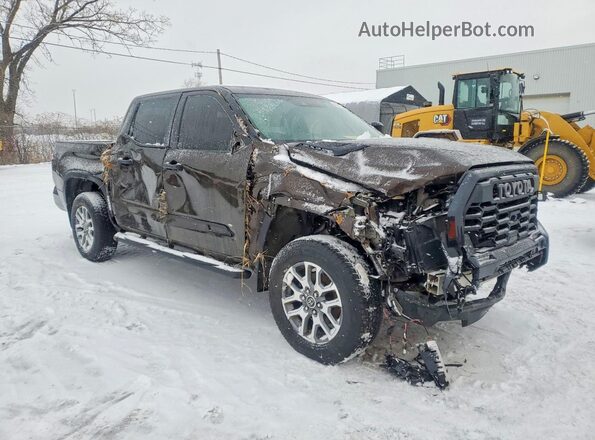 5TFMC5DB4PX022652 2023 TOYOTA TUNDRA Brown Delantero derecho