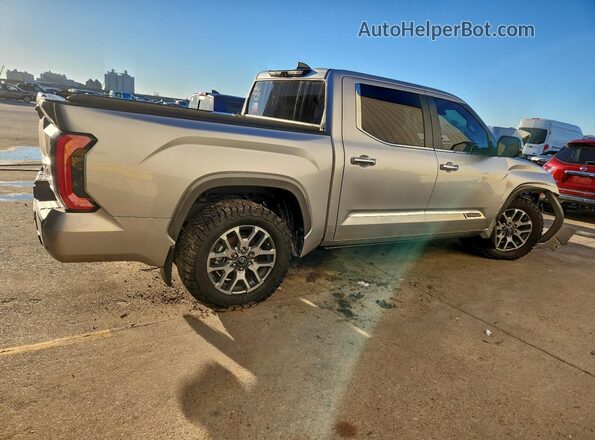 5TFMC5DB8SX091367 2025 TOYOTA TUNDRA Серебряный Задняя правая четверть