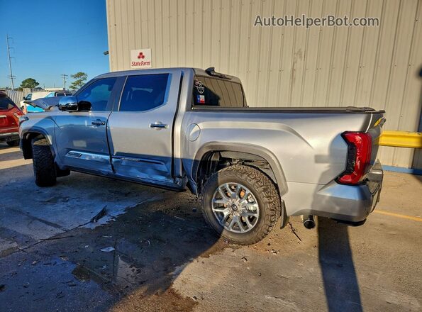 5TFMC5DB8SX091367 2025 TOYOTA TUNDRA Серебряный Задняя левая четверть