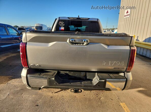 5TFMC5DB8SX091367 2025 TOYOTA TUNDRA Серебряный Вид сзади