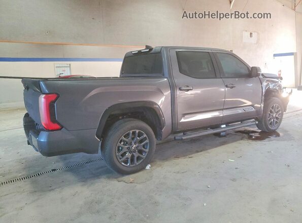 5TFNA5DB1SX271669 2025 TOYOTA TUNDRA Серый Задняя правая четверть