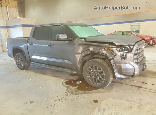 5TFNA5DB1SX271669 2025 TOYOTA TUNDRA Серый Передняя правая четверть