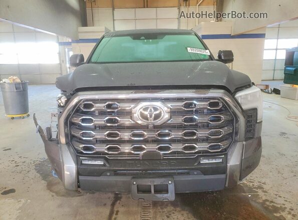 5TFNA5DB1SX271669 2025 TOYOTA TUNDRA Серый Вид спереди