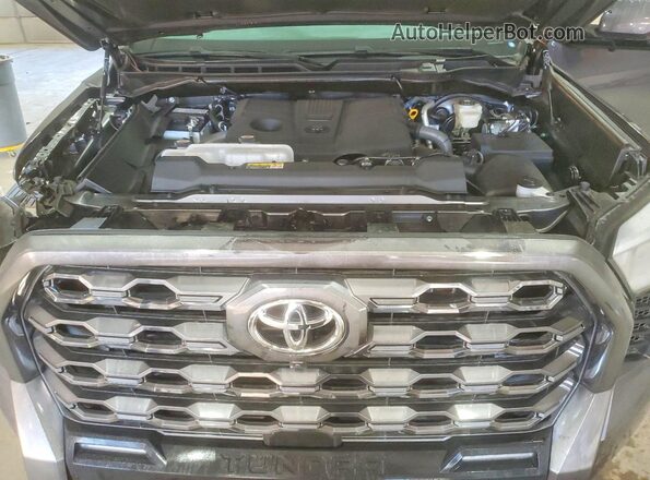 5TFNA5DB1SX271669 2025 TOYOTA TUNDRA Серый Вид задней части салона