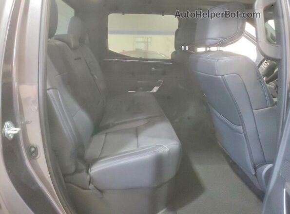 5TFNA5DB1SX271669 2025 TOYOTA TUNDRA Серый Вид задних сидений