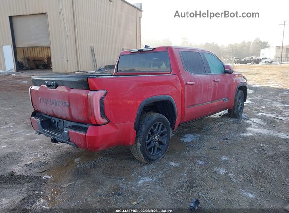 5TFNC5DB1PX027876 2023 TOYOTA TUNDRA HYBRID Red Tył prawy