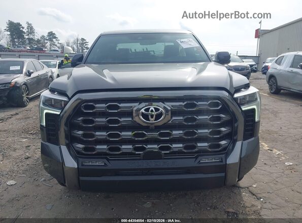 5TFNC5DB9SX110125 2025 TOYOTA TUNDRA HYBRID Серый Вид задней части салона