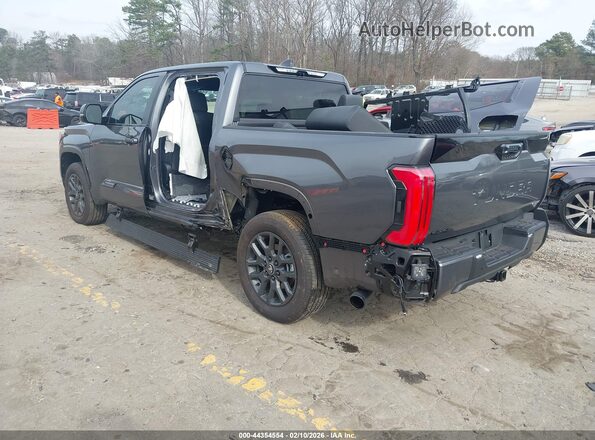 5TFNC5DB9SX110125 2025 TOYOTA TUNDRA HYBRID Серый Задняя левая четверть