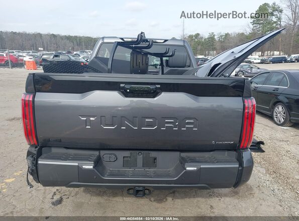 5TFNC5DB9SX110125 2025 TOYOTA TUNDRA HYBRID Серый 