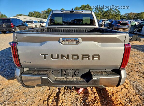 5TFVC5DB3NX002331 2022 TOYOTA TUNDRA Silver Вид ззаду