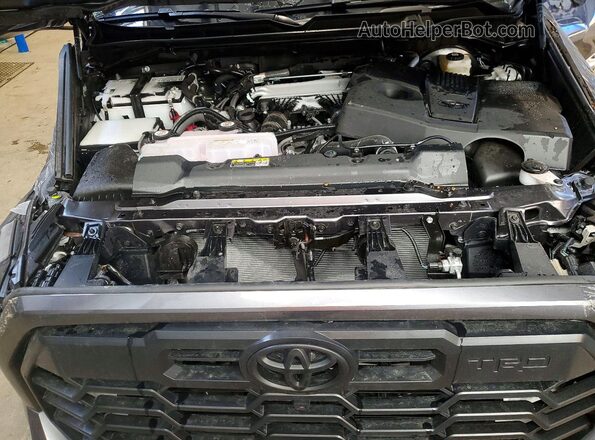 5TFWA5DB4TX340473 2026 TOYOTA TUNDRA Gray Widok wnętrza z tyłu