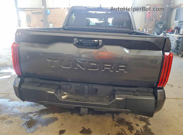 5TFWA5DB4TX340473 2026 TOYOTA TUNDRA Gray Widok z tyłu