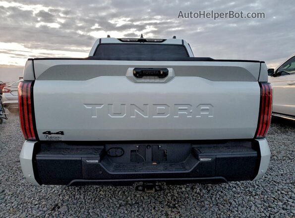 5TFWA5DB9SX240397 2025 TOYOTA LIMITED White Вид ззаду