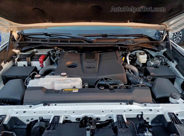 5TFWA5DB9SX240397 2025 TOYOTA LIMITED White Вид задньої частини салону