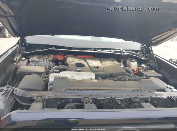 5TFWC5DB2RX069724 2024 TOYOTA LIMITED Blue Вид ззаду