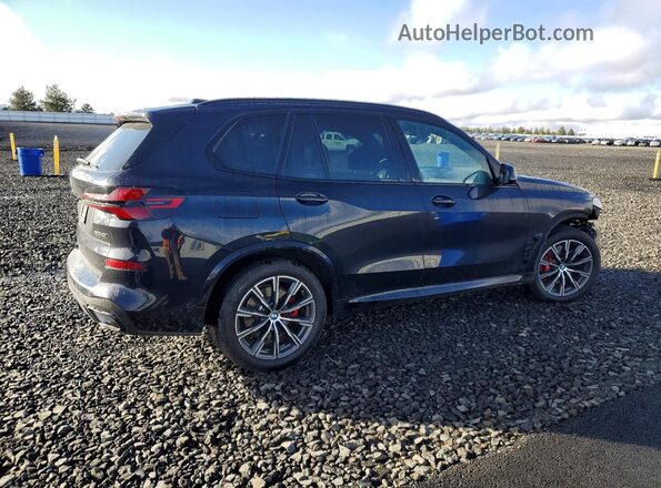 5UX23EU02R9U13343 2024 BMW X5 Синий Задняя правая четверть