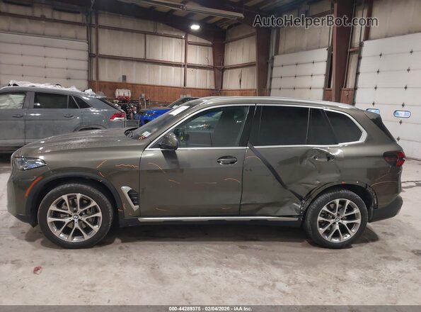 5UX23EU05S9W32786 2025 BMW X5 Зеленый Панорамный вид салона 360°