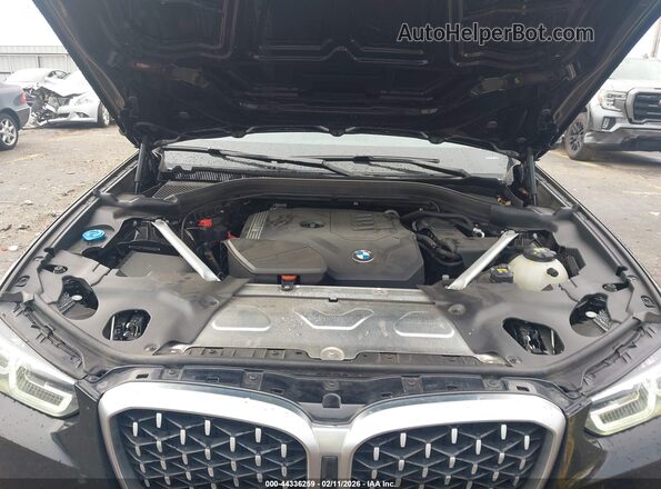 5UX33DT00P9N59995 2023 BMW X4 Черный Вид сзади