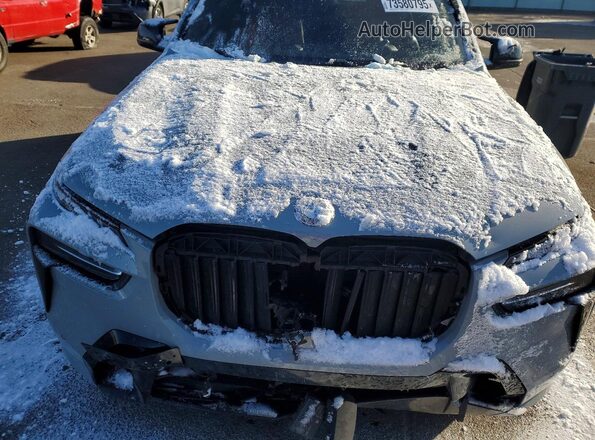 5UX33EM09P9P35687 2023 BMW X7 Gray Vista del compartimento del motor