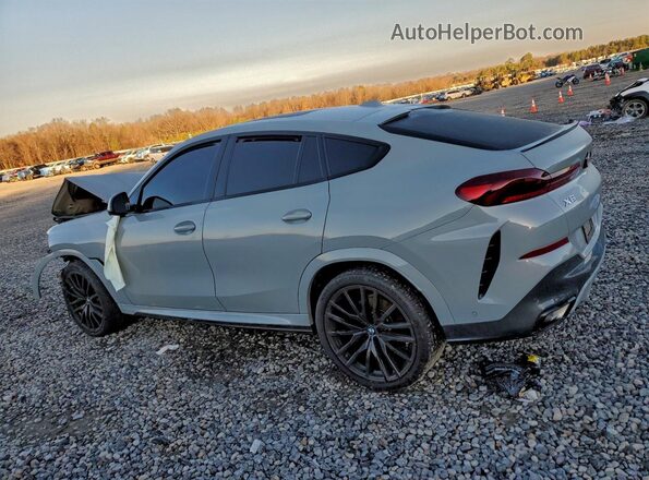 5UX33EX08R9S29797 2024 BMW X6 Silver Tył lewy