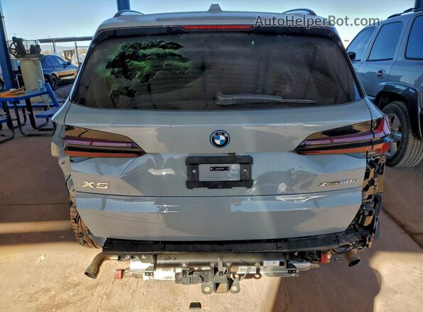 5UX43EU07S9Z93428 2025 BMW X5 Серый Вид сзади