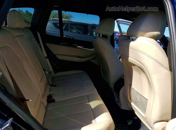 5UX53DP03N9N15523 2022 BMW X3 Синий Вид задней части салона