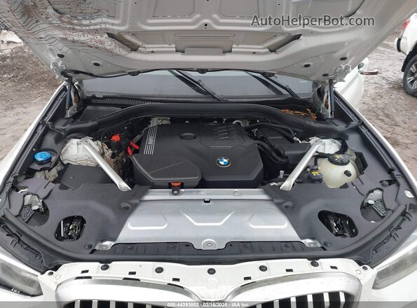 5UX53DP05N9M26195 2022 BMW X3 Белый Вид сзади