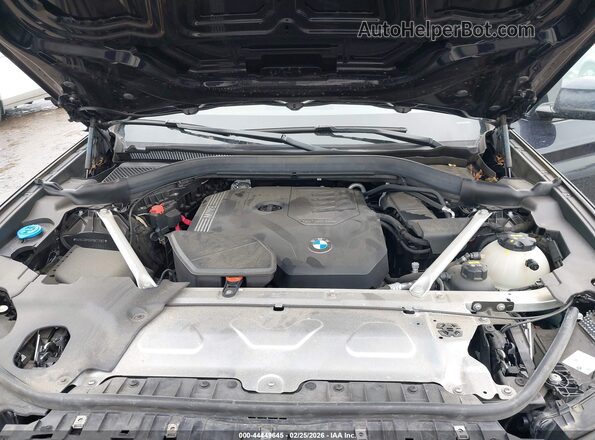 5UX53DP05P9N72082 2023 BMW X3 Dark Blue Вид ззаду