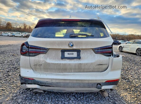 5UX53DP07P9S79784 2023 BMW X3 Белый Вид сзади