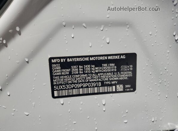 5UX53DP09P9P03918 2023 BMW X3 White Vista de la etiqueta del VIN
