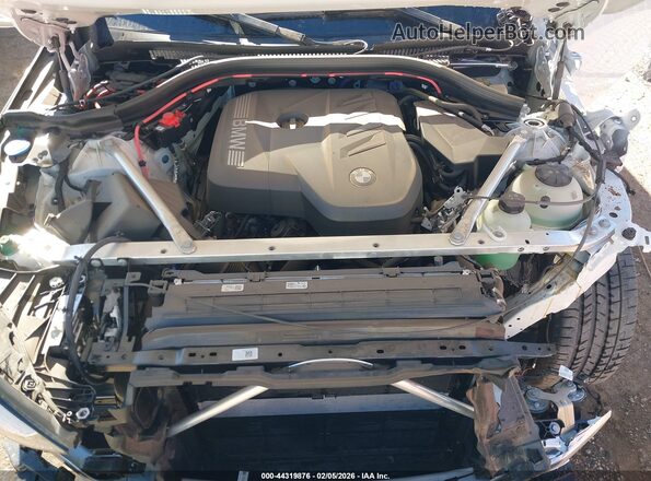 5UX53GP09S9061243 2025 BMW X3 Белый Вид сзади