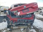 2019 Bmw X6 Xdrive35i Темно-бордовый vin: 5UXKU2C56K0Z64541
