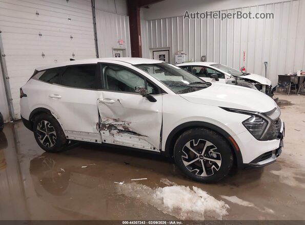 5XYK33DF5RG193477 2024 KIA SPORTAGE Белый Вид задней части салона