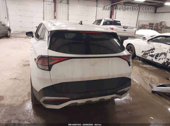 5XYK33DF5RG193477 2024 KIA SPORTAGE Белый 