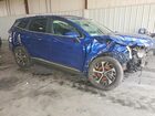 2024 Kia Sportage Ex Blue vin: 5XYK33DF9RG186211