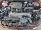 2025 Kia Sportage Бордовый vin: 5XYK53DF4SG324463