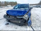2024 Kia Sportage X-line Blue vin: 5XYK6CDF3RG156077