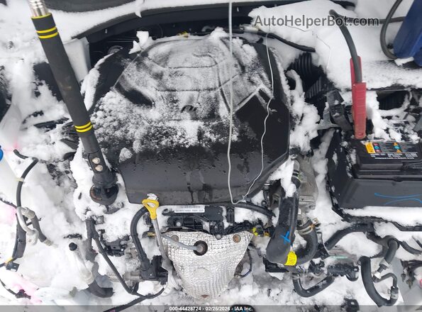 5XYP2DGC8RG510832 2024 KIA TELLURIDE White Вид ззаду